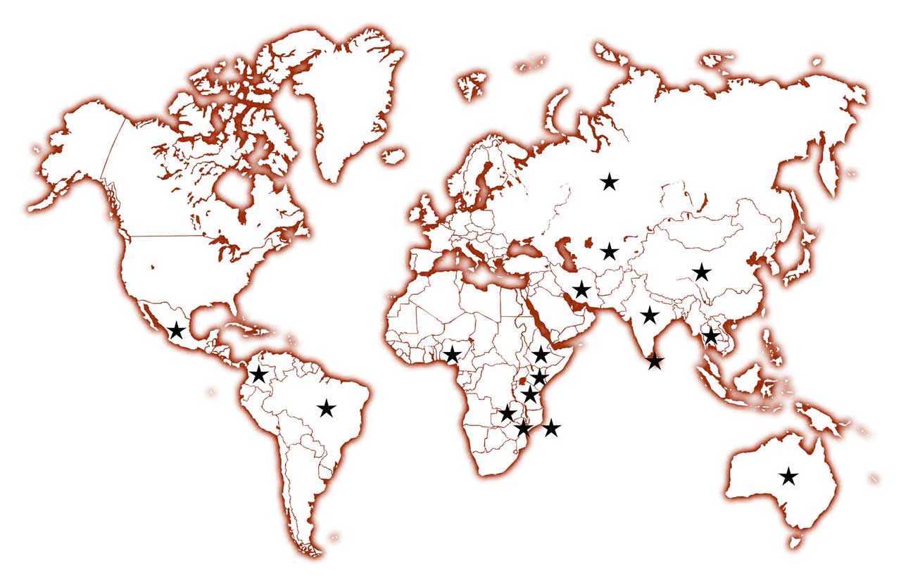 carte_du_monde_production_etoiles-test